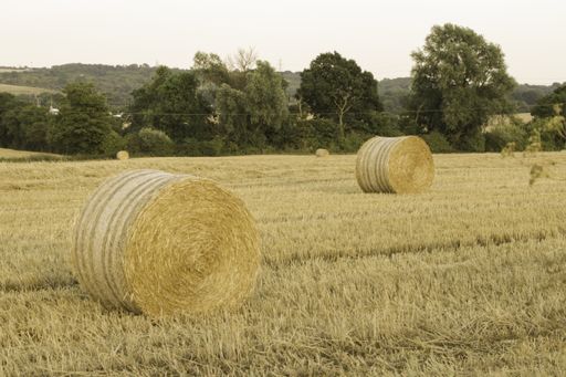A beautiful shot of hay rolls in a dry grassland