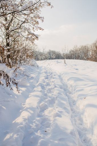 A vertical shot of a field covered in the snow under the sunlight at daytime