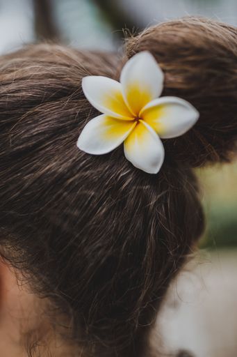 Blurry Close Up Of A Frangipani Flower On A Dark Hair Bun