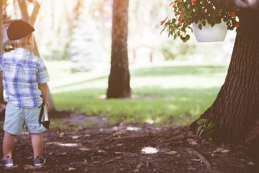 A child holding the bible while standing near a tree with a blurred background shot from behind