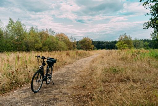 A bike on a trail in a yellow field