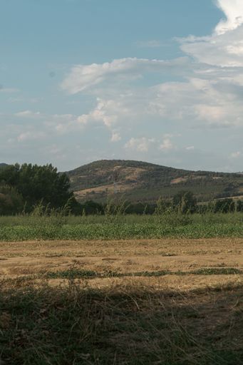 A vertical shot of a green hill under blue sky with a dried grass on the slope in Chlaba, Slovakia
