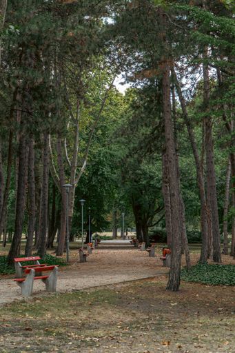 A vertical shot of a trail surrounded by trees and benches in a park in Margaret Island, Budapest, Hungary