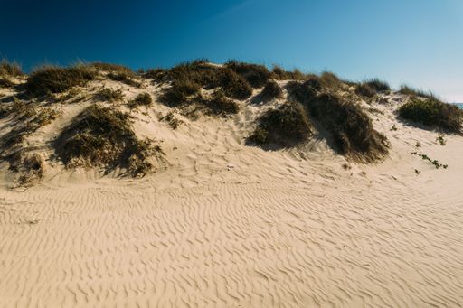 A landscape of sand dunes with dry grass under the sun