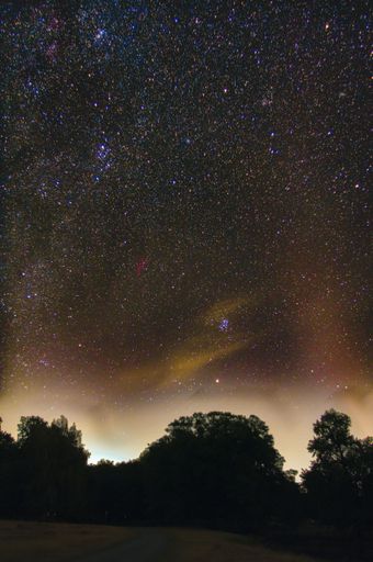 A vertical long exposure shot of the magical starry night sky over the forested hill