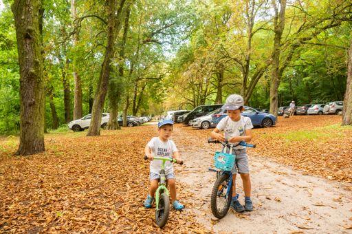 Two young boys on bikes on a footpath along high trees and parked cars at a park. First leaves are falling  in the summer.