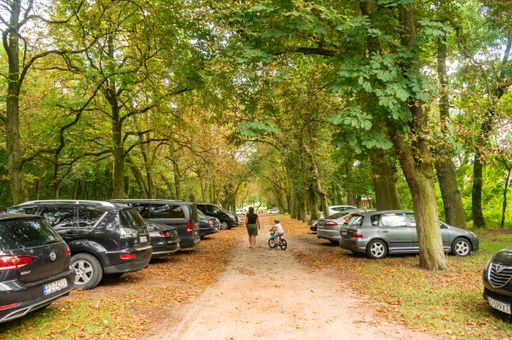 Footpath along rows of parked cars and high trees at a park. Woman and child walking on the walkway