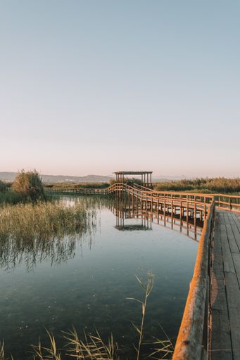A vertical shot of a wooden bridge with fences over a lake