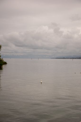 A beautiful vertical  shot of a sea on a gloomy day