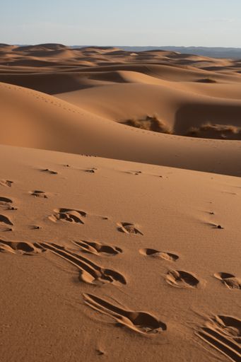A vertical shot of sand dunes in the desert - perfect for wallpaper