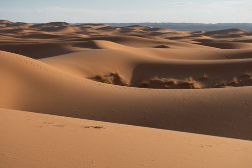 A beautiful view of sand dunes in the desert - perfect for wallpaper