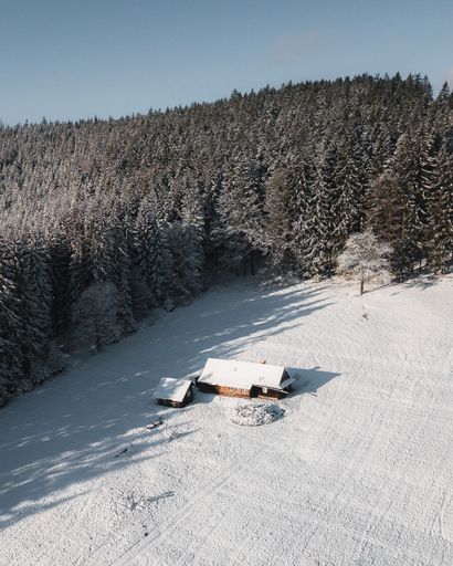 A vertical aerial shot of a house covered in snow and surrounded by a forest of spruces