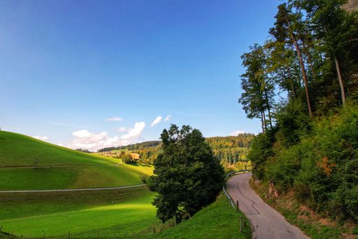 An aerial view of asphalt road winding through lush green hill in rural area under blue sky