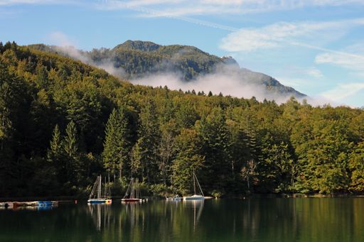 View of Lake Bohinj in Slovenia, with boats parked on the shore, and a forest with misty mountains in the background.