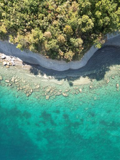 A vertical shot of turquoise water and the shore covered with green vegetation. Izola, Slovenia.
