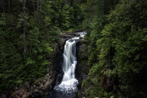A beautiful shot of the waterfall streaming down in the forest
