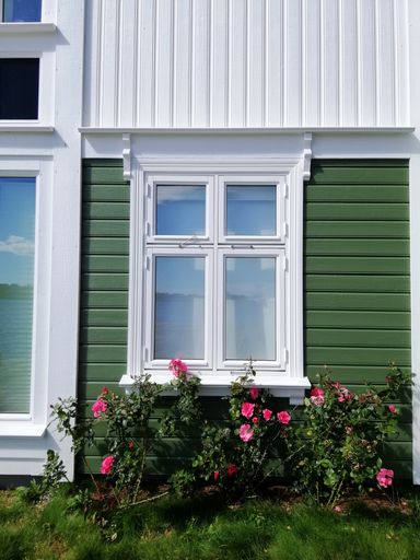 A vertical shot of a window of a house from the village of Gjeving, Norway with plants underneath it