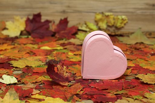 A closeup shot of a pink heart-shaped gift box on dried maple leaves