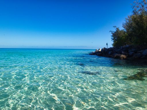 A landscape scene of trees by turquoise water at Heron Island
Cay in Australia