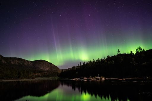 A mesmerizing scene of Norwegen Fjord Polarlichter with silhouette trees in Norway