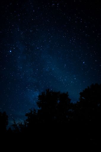 A vertical shot of a night sky with stars and planets over the silhouettes of the trees.