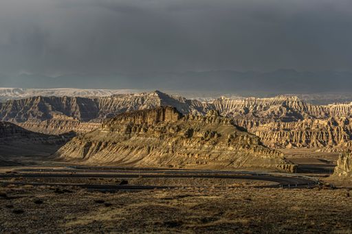 An aerial view of forest landforms and stone formations in Zada County, Ali Prefecture, Tibet, China