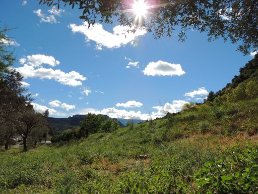 A landscape of a field covered in greenery surrounded by hills under the sunlight and a blue sky