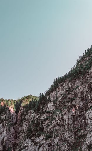 A vertical low-angle shot of a rocky hill covered with trees under a blue sky