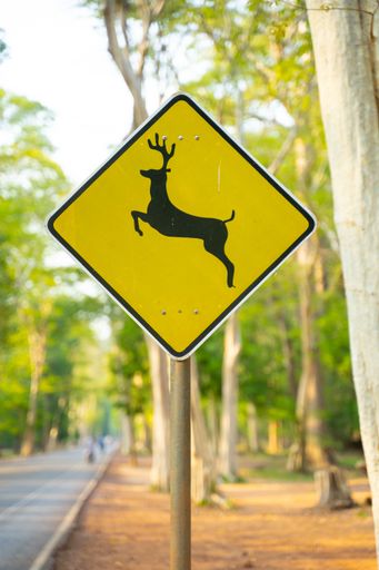 A yellow deer sign in street