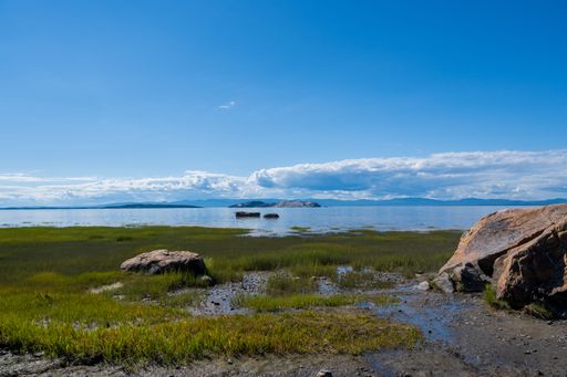 A beautiful view of a sunny coast with grass and rocks and the sky blue color reflecting in the water