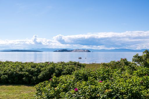 A beautiful view of Lake Balaton in Hungary with the green coast and clean blue sky reflecting in the water