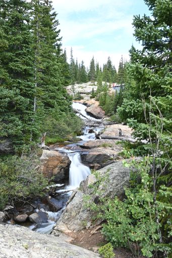 A vertical shot of South Platte River flowing through rocks and green trees in Montgomery Reservoir