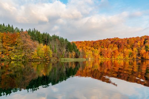 A beautiful landscape of the autumn forest at the shore of a lake
