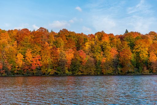 A beautiful landscape of the autumn forest at the shore of a lake