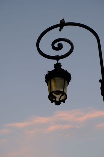 A vertical low-angle shot of a bird sitting on a street lamp with a cloudy blue sky in the background