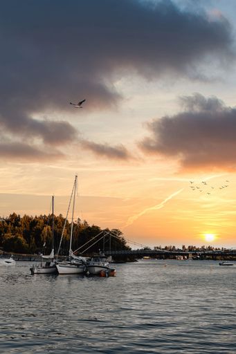 A vertical shot of yachts in the waters of Oslo during the sunset in Norway