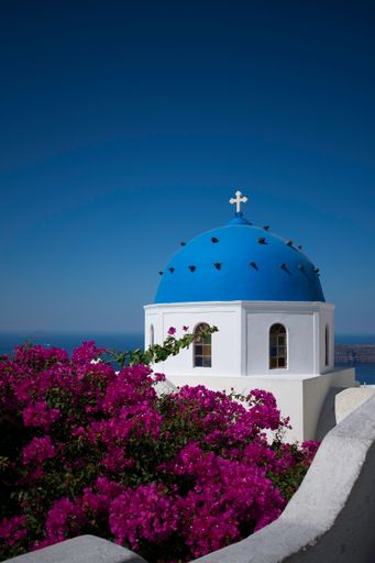 A vertical shot of the Blue Domed Church with violet flowers on seashore of Santorini island in Greece