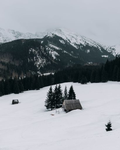 A vertical of snowy forested mountain, foggy gloomy sky background