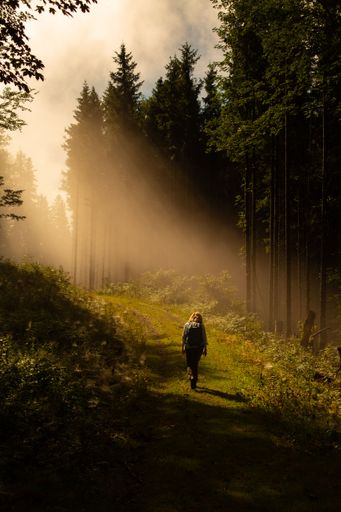A vertical scenic back view of a lonely traveler walking in the lush forest under the sunlight rays