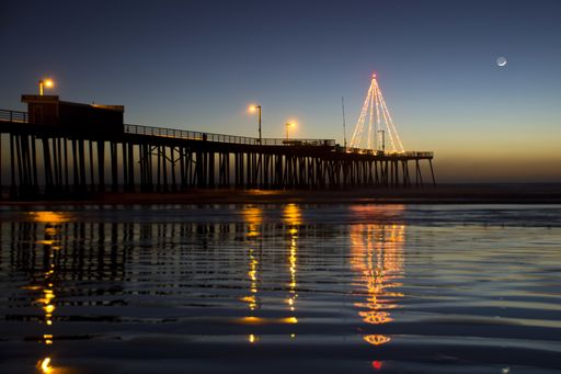 A beautiful shot of string lights tree on a pier reflected in the sea at night