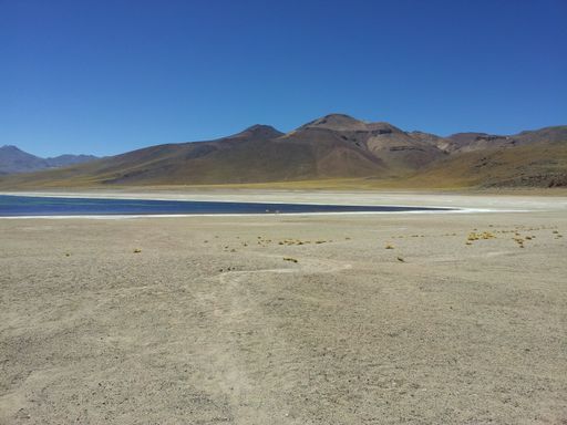 A Monique lagoon and volcano in Atacama desert, Chile