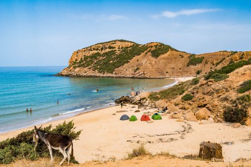 A beautiful shot of a sunny rocky seashore with a cliff on a summer day in Kef Abbed, Tunisia