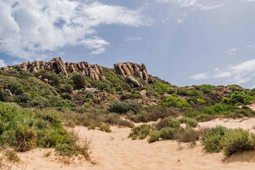 A beautiful shot of rocky cliff formations and green trees on a sandy shore in Tunisia