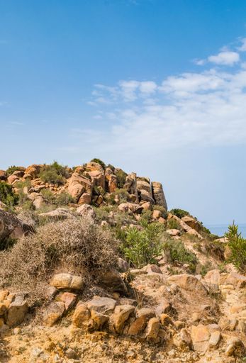 A vertical shot of rocky cliff formations and green trees on a sandy shore in Tunisia