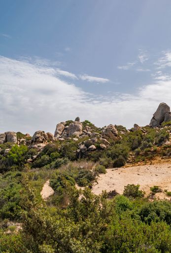 A vertical shot of rocky cliff formations and green trees on a sandy shore in Tunisia