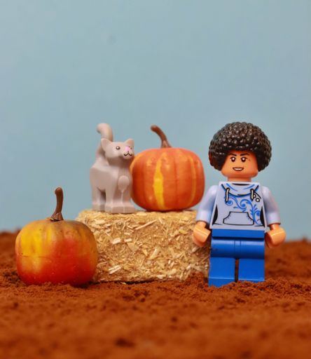 A lego minifigurine standing near pumpkins and cat