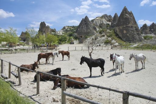 A high angle shot of horses near huge rock formation under the cloudy sky