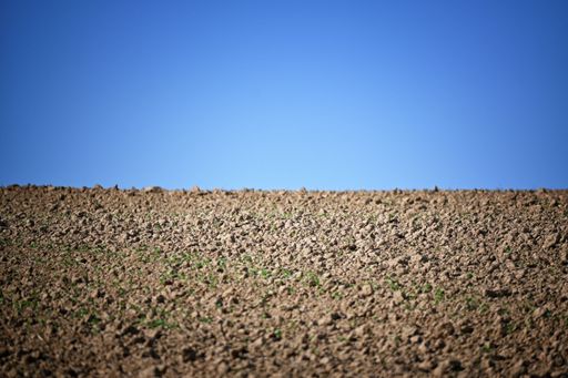 A close-up shot of soil with the background of the blue sky