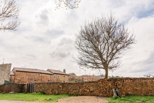 A beautiful view of a tree at the stone fence in the Medieval town Castrillo de los Polvazares