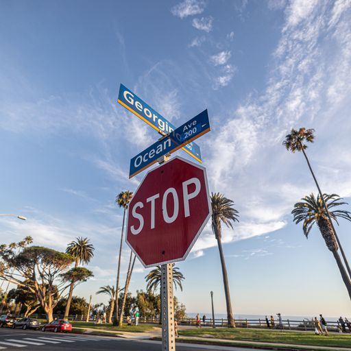 A low angle of a Stop road sign near a tropical park